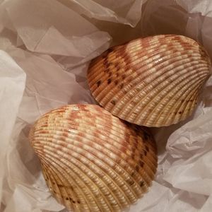 Meet your Posher, Cathy